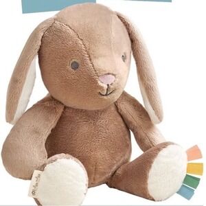 Itzy Ritzy Billie The Bunny Plush Cuddly Sensory Toy Baby Safe Embroidery NWT